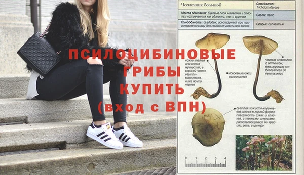 дурь Михайловск