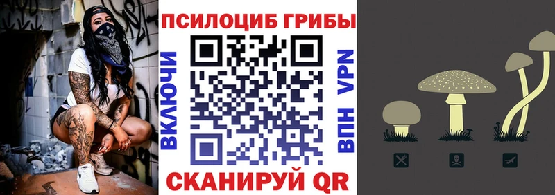 Купить  Снежинск  Псилоцибиновые грибы прущие грибы 